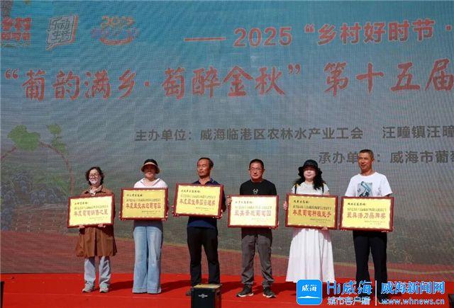 串串葡萄、甜了秋天！第十五届威海汪疃葡萄文化旅游节热闹开场