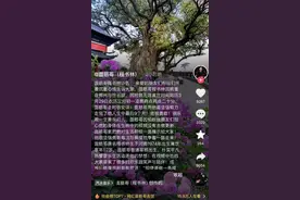 “面筋哥”因肝癌去世，年仅52岁，曾创“神曲”《烤面筋》红遍网络图片