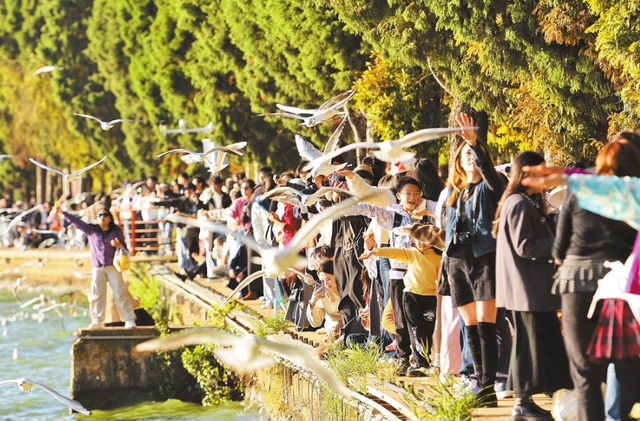 决胜“十四五” 迈上新台阶｜昆明转型：“旅游过境地”的留客之道