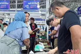 小众收藏走进大众消费 矿博会带热矿物市场图片