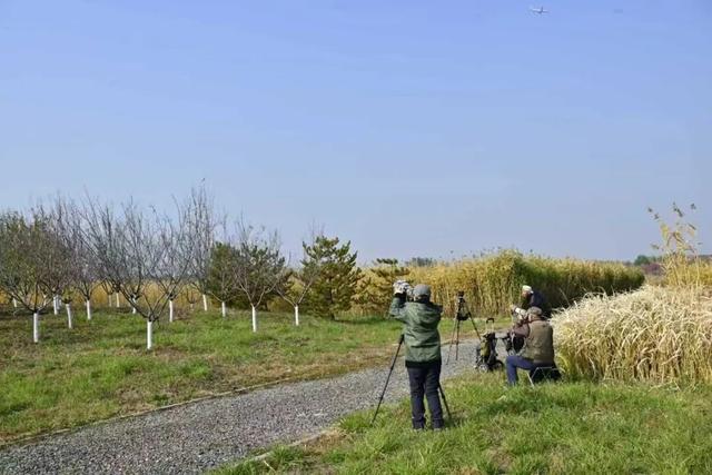开放啦！副中心醉美秋色等您入画~