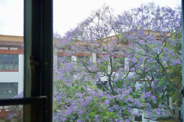 在川大，这是我的珍藏地！