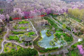 春花邂逅古建，花都“种花人”的中式浪漫图片