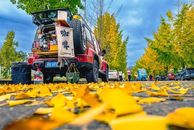 落叶缓扫，诗意长留！彭州的秋天被“绣”在了大地上