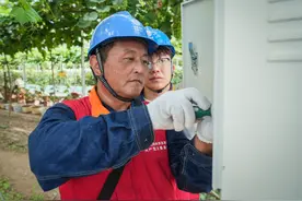 国网咸阳市杨凌供电公司：“电”亮新图景 “葡”出致富路图片
