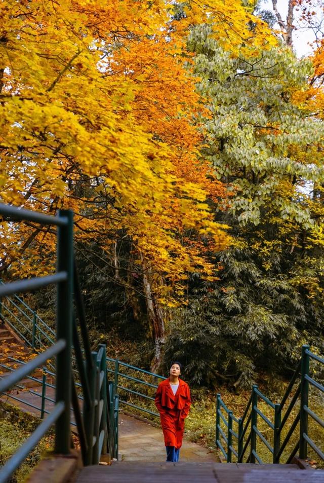 快来瓦屋山徒步！真的很过瘾！