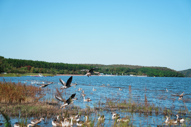 登高望远 敬老思亲 九九重阳 喜乐安康