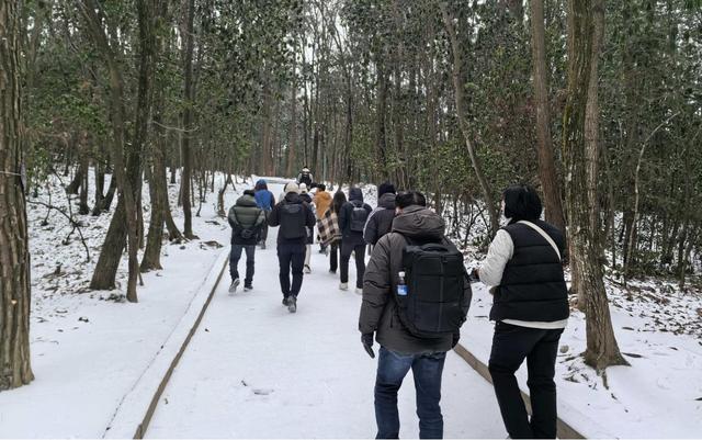千山沐雪，万木凝霜——杨家界雪后美景迎客来