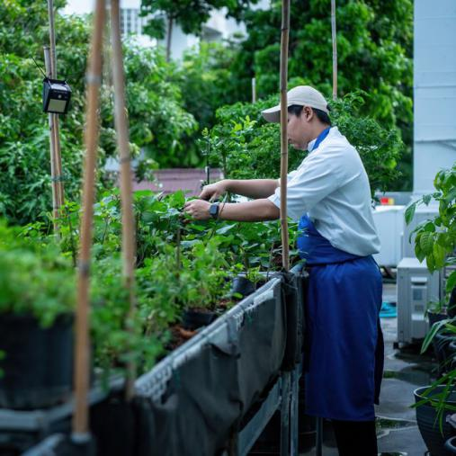 去泰国，吃什么？2026米其林泰国指南来啦！