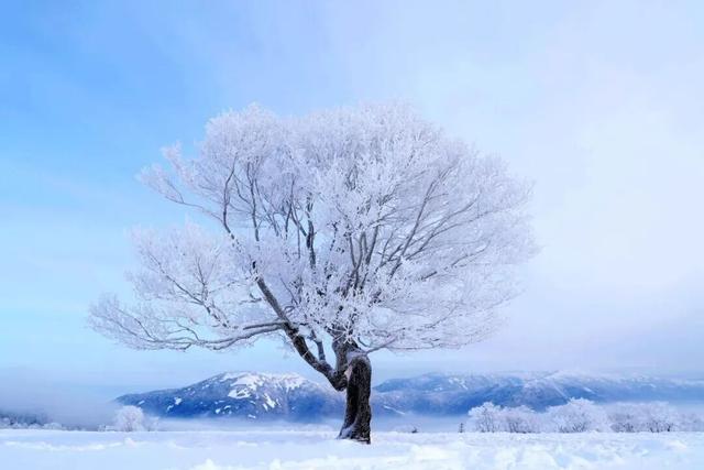 收好这份攻略！宁波人游延边享23项专属福利