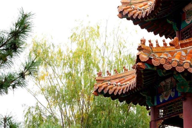 秋韵未央！来威海临港区，邂逅五彩斑斓的美！