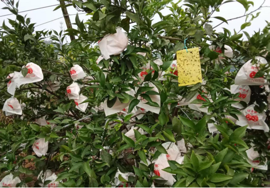 永川“留娃”去处上新→