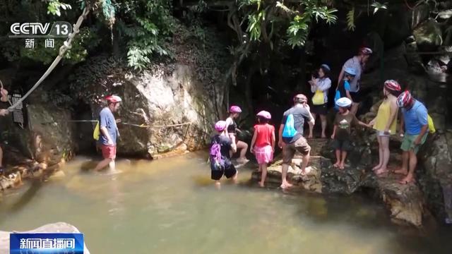 研学游持续升温 走进“绿色课堂”来一场沉浸式自然探索吧