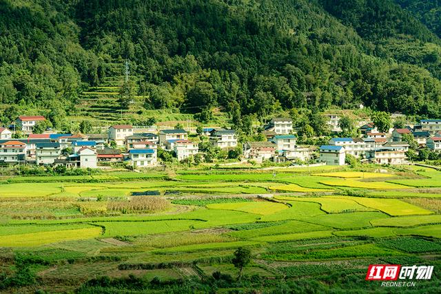 大学生带你游慈利｜湖南工业大学彭媛：张家界东线隐藏的吸氧路线