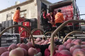 三年投1000亿，拼多多要助商家“拓单增收”，消费者同步享“国补”价图片