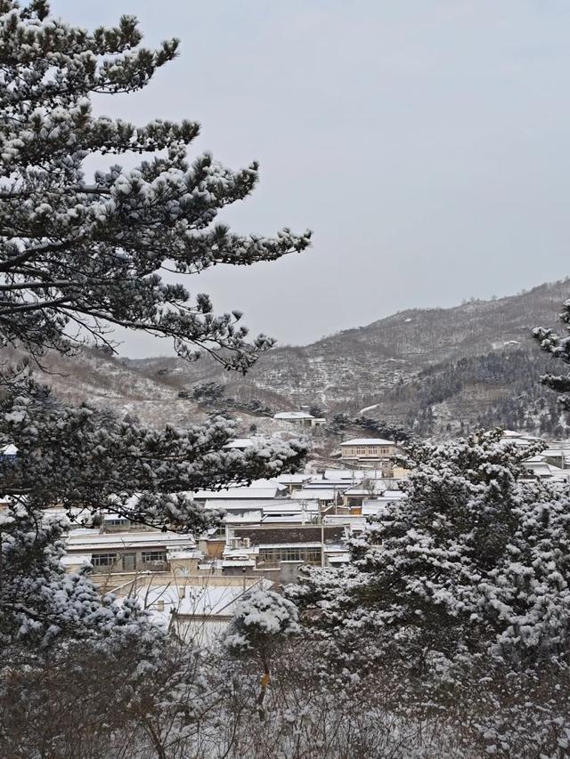 这是2026年昌平的第一场雪！