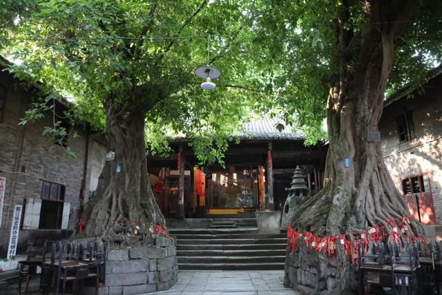 安逸四川 乐游绵阳 ‖ 郪江古镇：古榕听雨，崖墓谜光，邂逅千年王城遗韵
