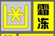 降至-3℃以下！霜冻预警来了……图片