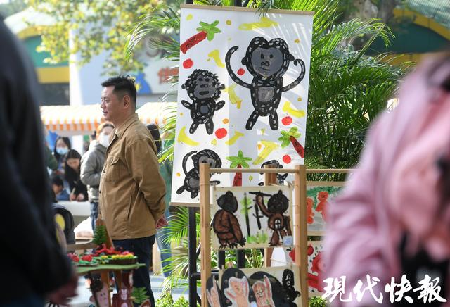 “猩”动来袭！南京红山森林动物园举办2025国际猩猩关爱周活动