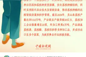 来灵山，品智园荔枝的醉人甜蜜图片