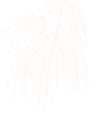 雪假快乐！长春市净月潭景区雪假优惠政策请查收→