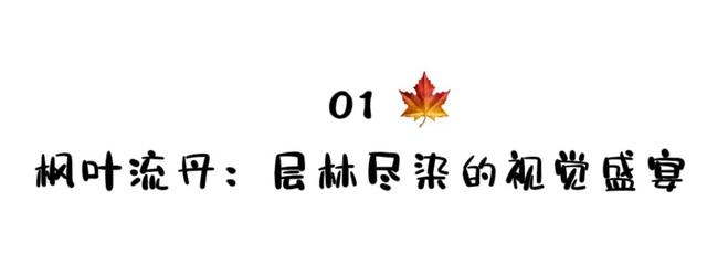 谁能拒绝？这片冬日“绝色”秘境藏不住了！
