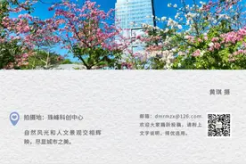 查出来了！涉及菜档、超市、百货…丨晚安斗门图片