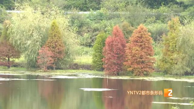 美得像油画！三家村水库即将迎来颜值巅峰