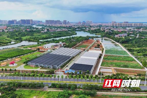 洞庭水乡焕新彩 沅江以文旅项目绘就高质量发展新图景