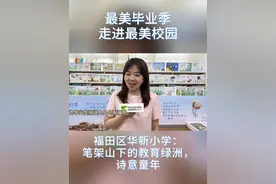毕业季·走进最美校园⑩｜华新小学：笔架山下的教育绿洲，诗意童年图片