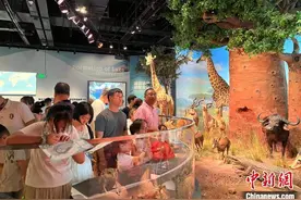 370余件珍稀野生动植物标本在赣展出图片