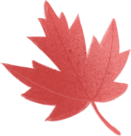 松江秋景开挂！5个宝藏地的红黄皮肤，限时上线！