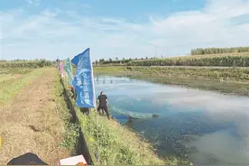 振兴路上｜特色养殖 开启乡村新“食”代图片