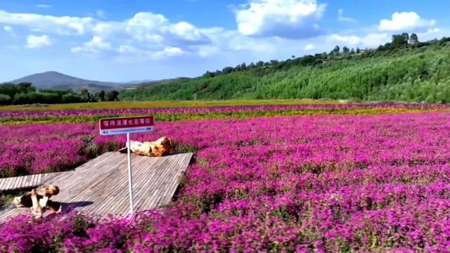 定西市渭源元谷堆景区游玩攻略