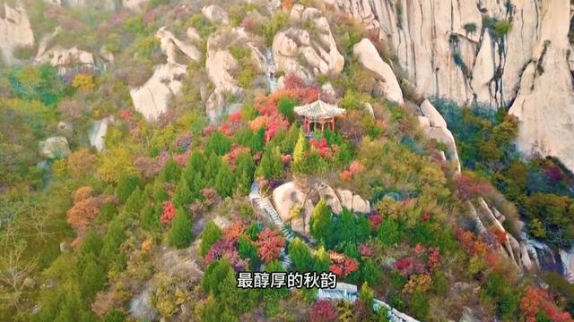 红了！黄了！错过这个节点——真没了！