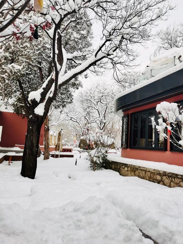 雪后香山！北京冬日浪漫天花板，快来打卡