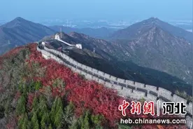 石家庄鹿泉区：赏秋日美景 观红叶烂漫图片