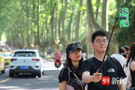 南京陵园路上的“梧桐大道”再出圈图片