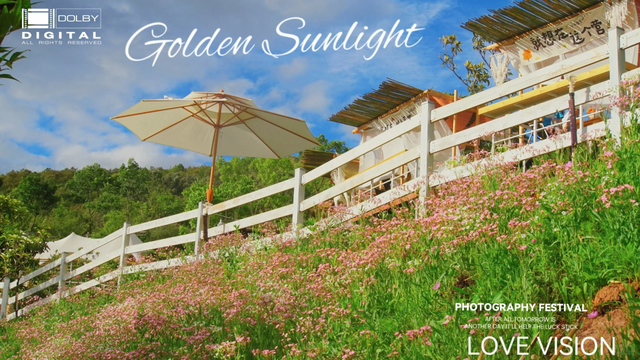 活动上新！昆明这里承包你十二月的所有周末→