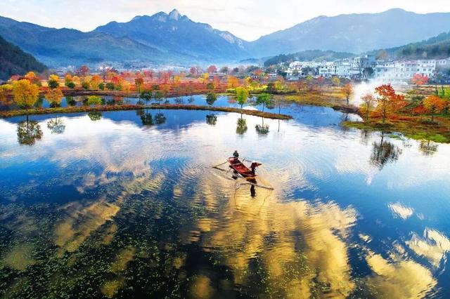 秋天来罗田,好“柿”正发生!