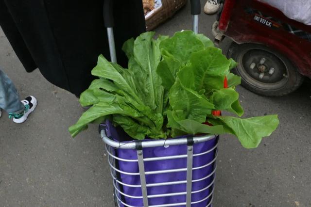 龙泉的早高峰在西河综合市场