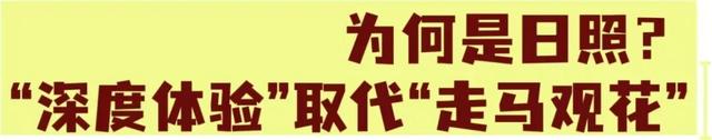 日照！“青睐”之地合作伙伴！