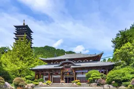 赠票|“空中的士”、VR剧场，去根宫佛国开启“飞仙佛国”穿越之旅图片