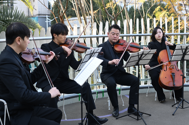 音乐快闪邂逅金色银杏 五华区举办城市音乐会