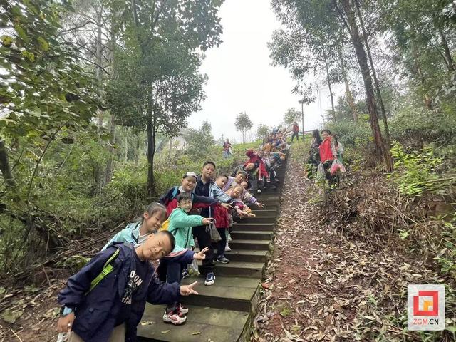 探秘森林，挑战自我！高峰街道燊海社区“小小生存家”自然探索之旅圆满落幕