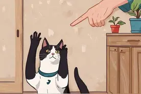 这些行为，会让猫“生不如死”，很多人却犯了图片