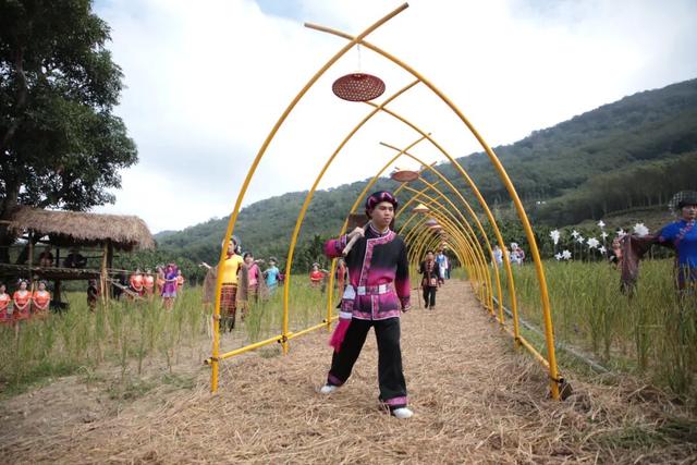 多图+视频！一起回看2025年白沙“啦奥门”雨林与您山兰文化活动精彩瞬间