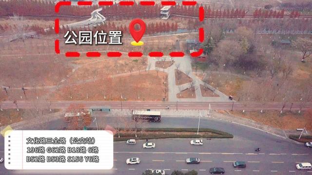 郑州冬日顶流！这里的水杉林红成童话(8条公交线路直达)！