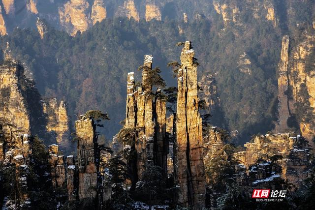 【每日一图@湖南】张家界的雪后云海，藏着湖南冬日的浪漫