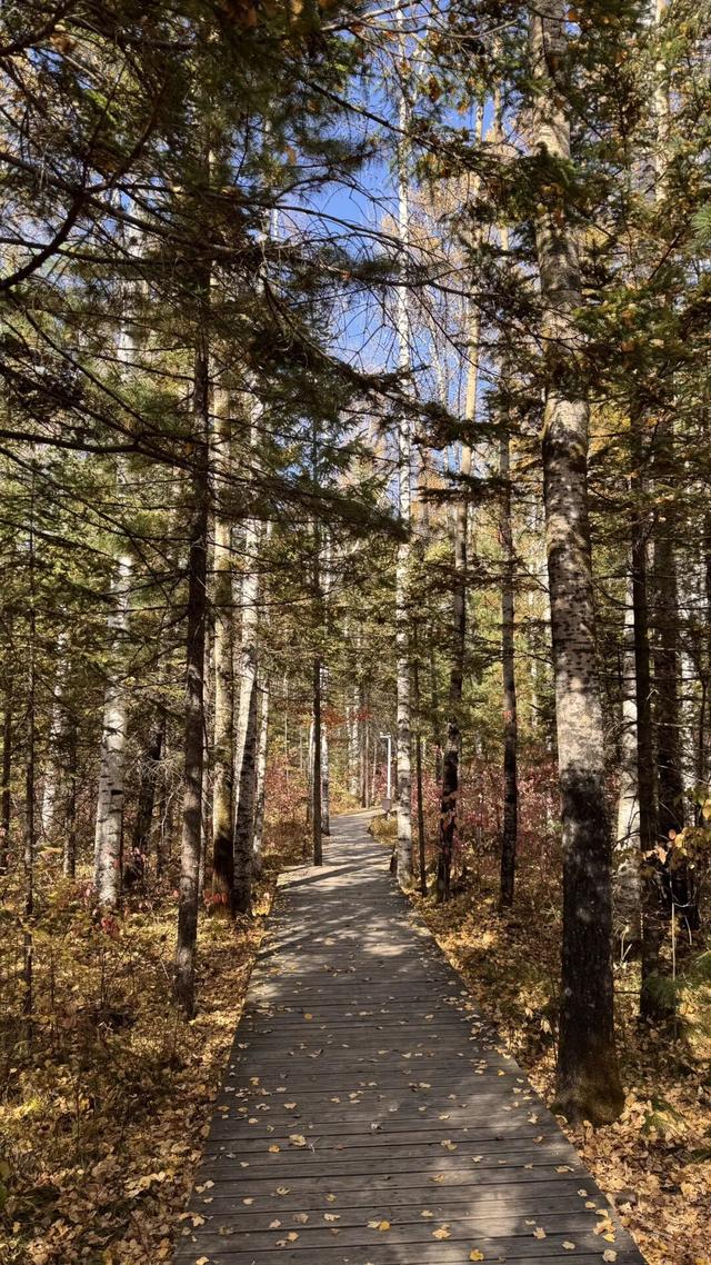 假期闲记（二）